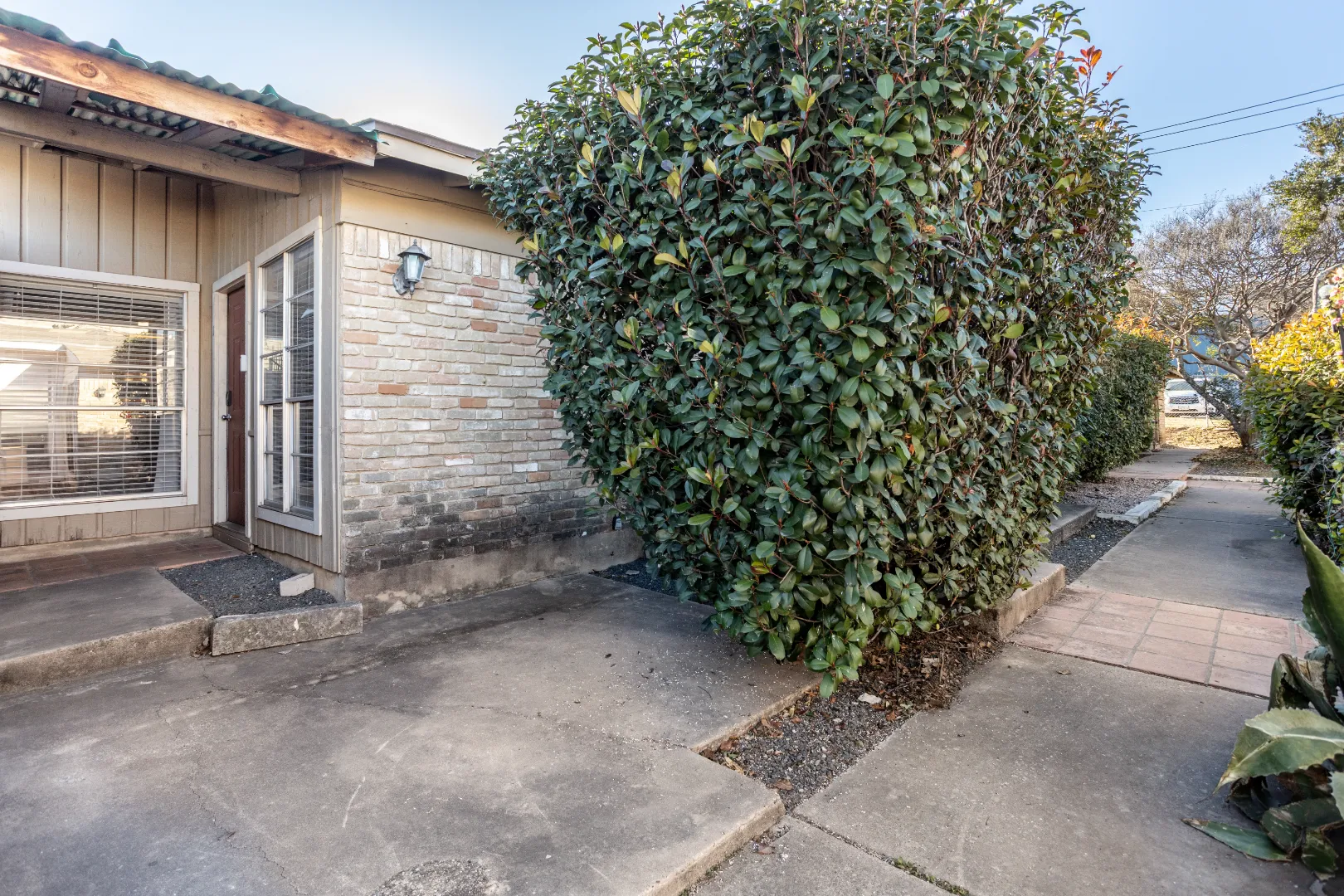 compressed_Austin-LittleSkagen_33